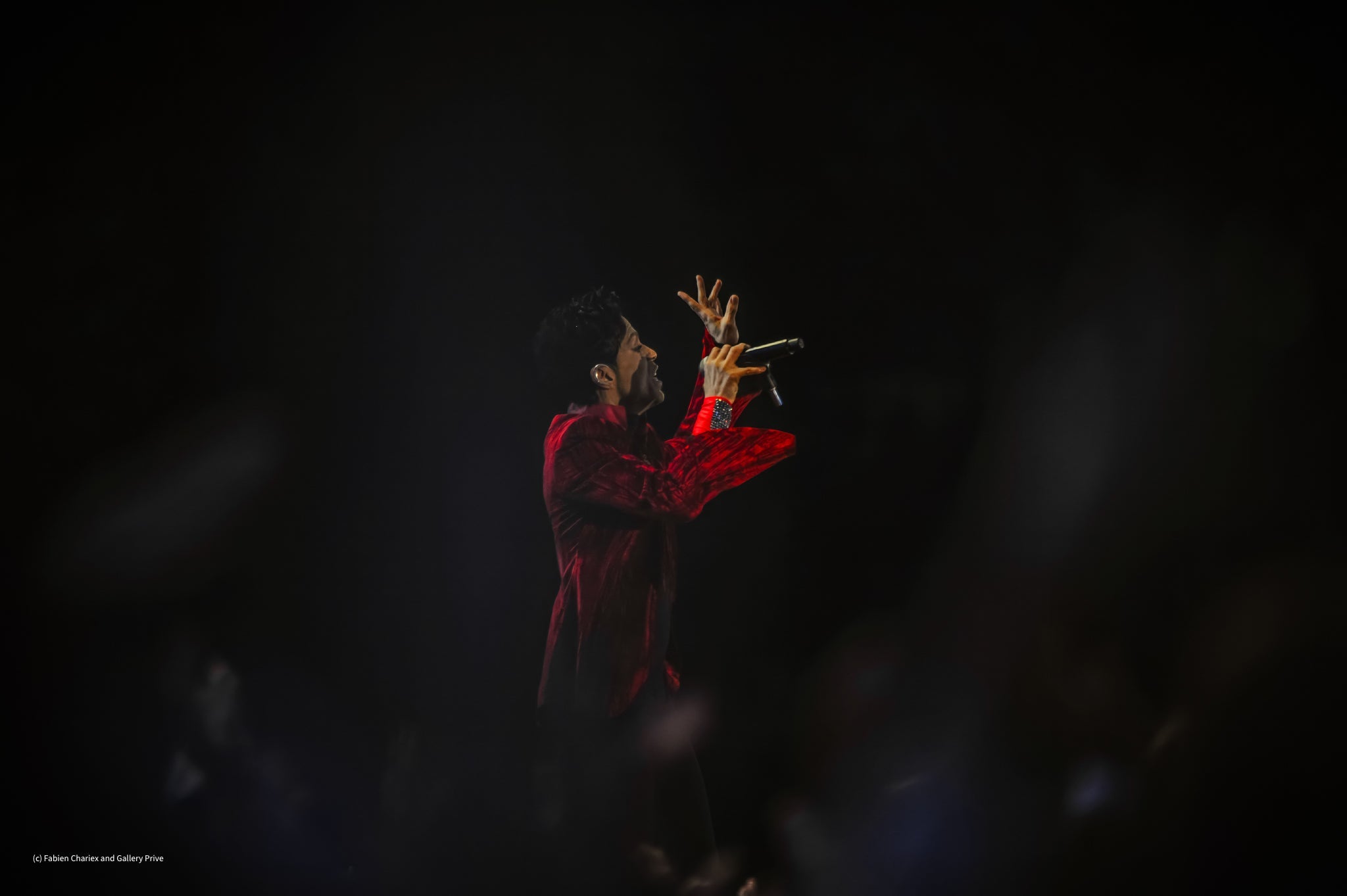 Prince — Live at Sziget