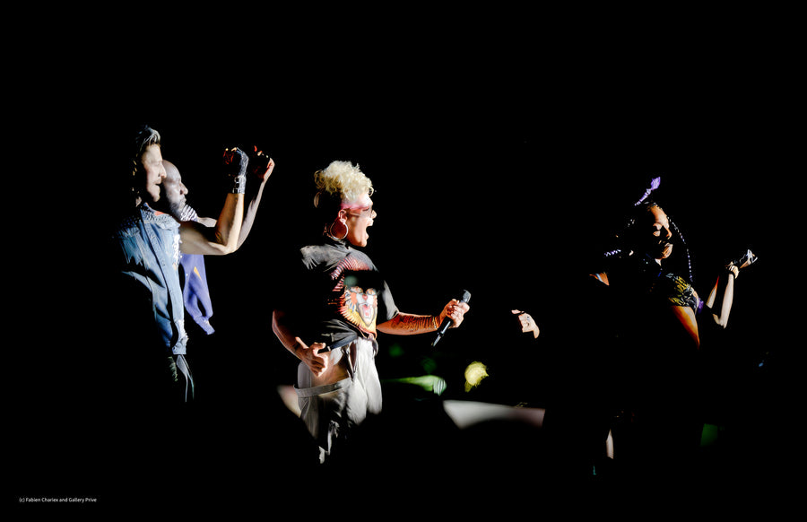P!nk — Wild Spotlight