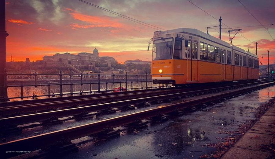 Yellow Lines II - Golden Crossing — Gallery Privé fine art