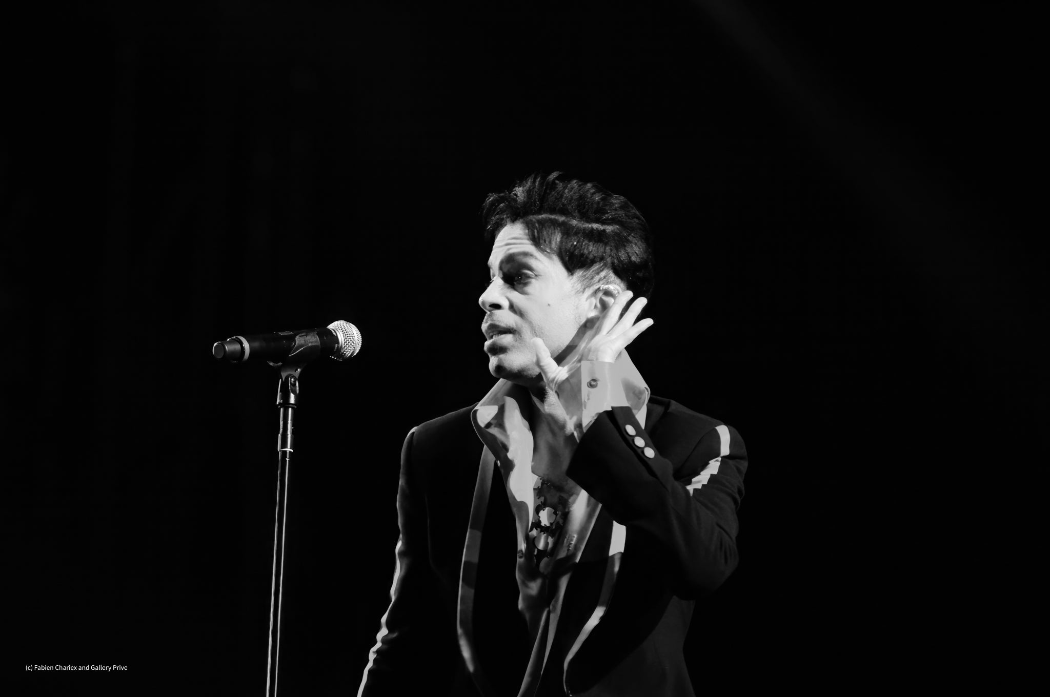 Prince — The Silence Between Notes — fine art photography by Gallery Privé